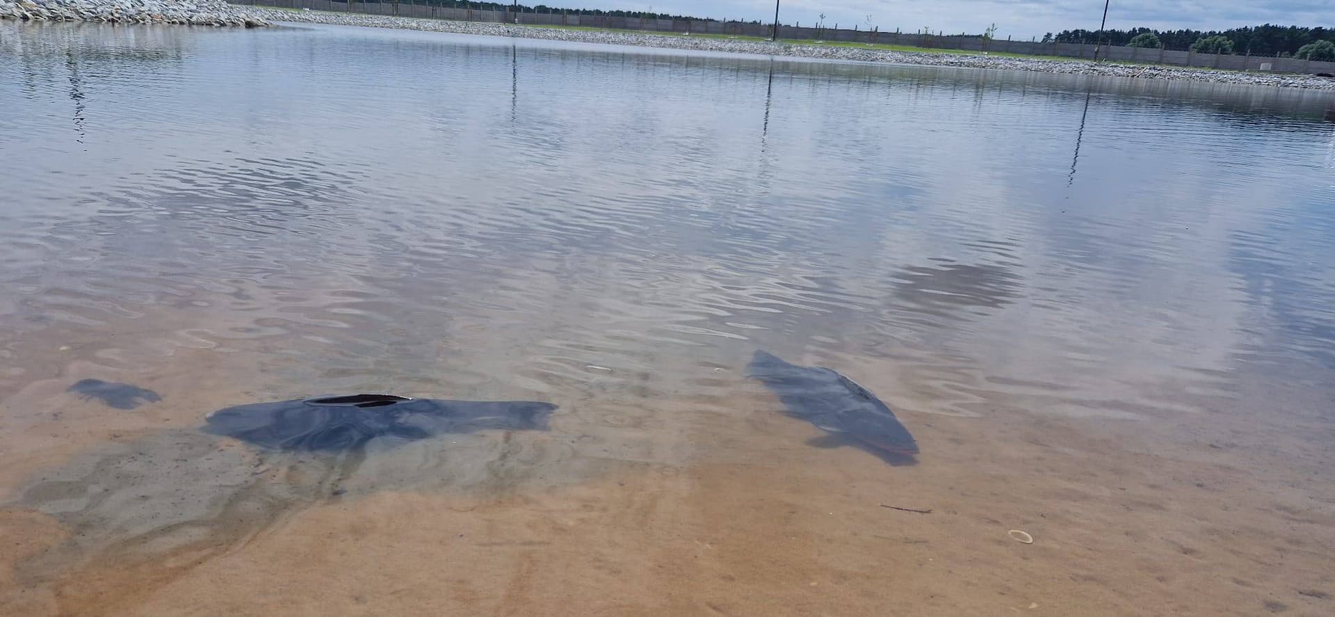 Połów na łowisku (4)